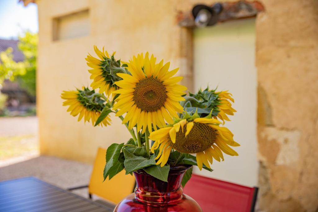 Domaine De Laplan Bed and Breakfast Cezan Buitenkant foto